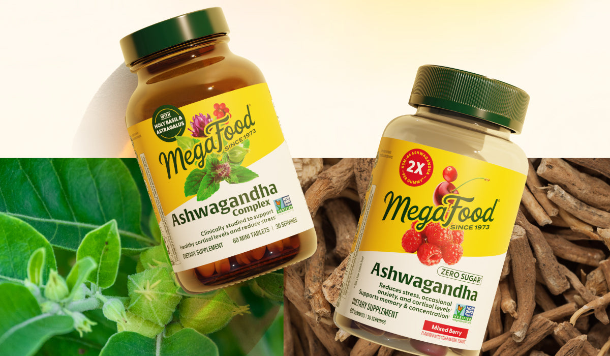 Ashwagandha 101: The Adaptogen for Modern Stress