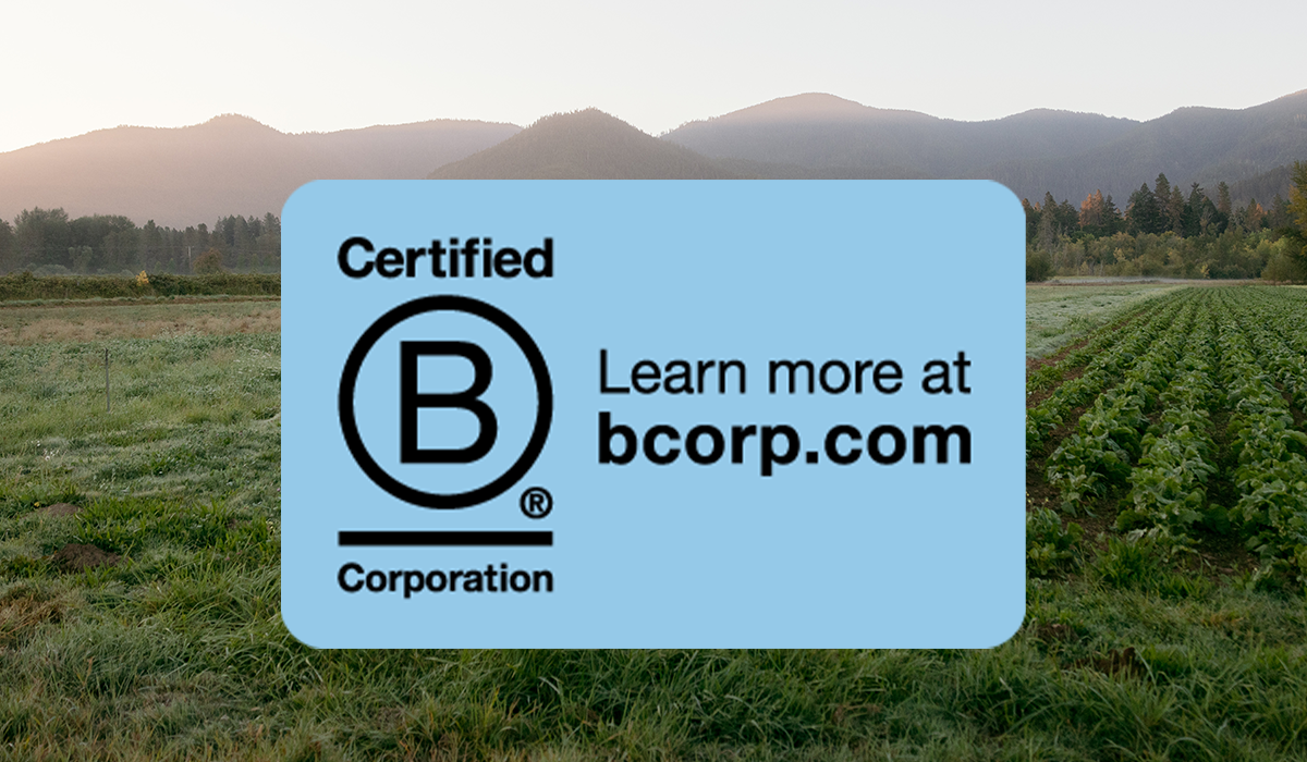 2025 B Corp Recertification