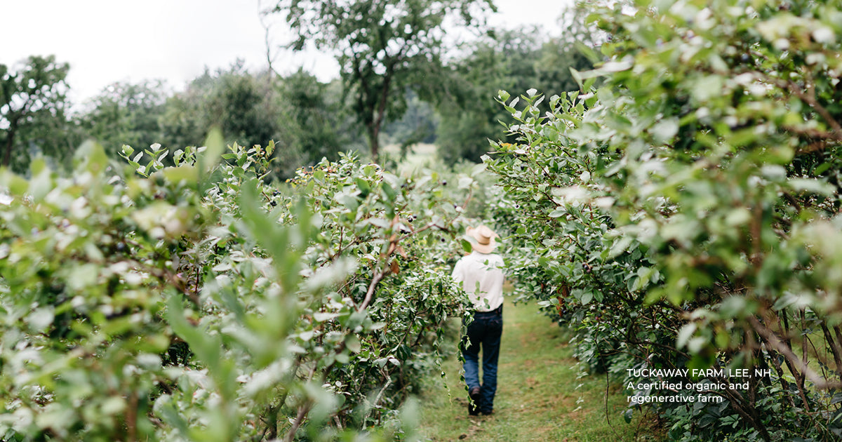 OUR FOOD SYSTEM IS BROKEN. WE’RE WORKING TO FIX IT. HERE’S HOW.