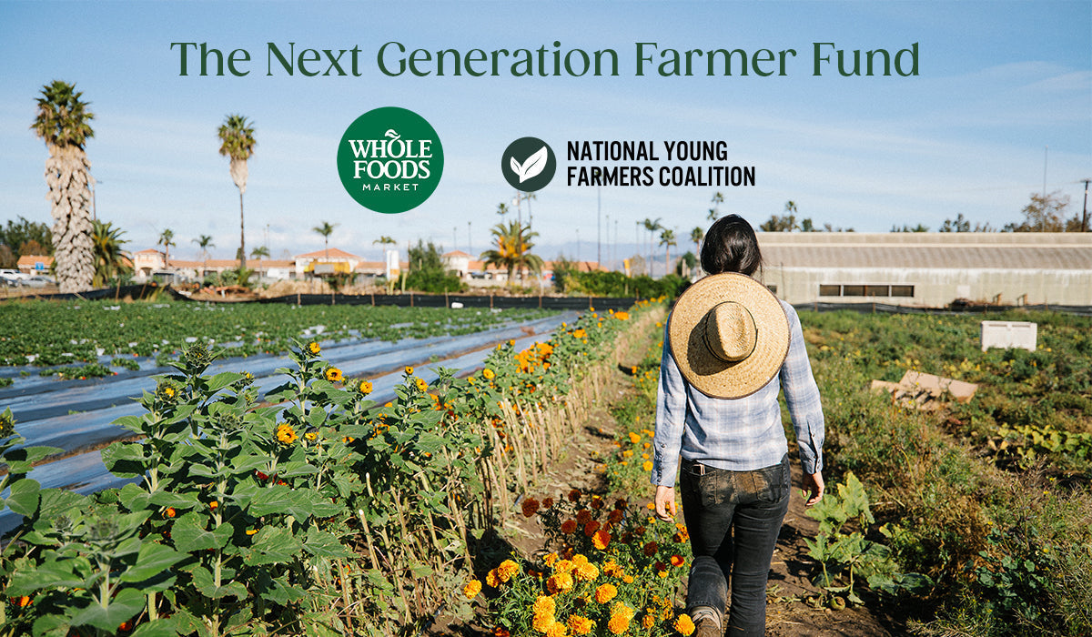 Why Supporting Young Farmers Matters