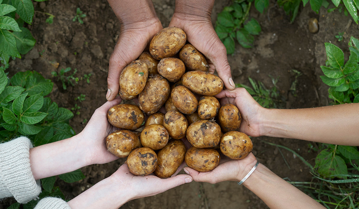 Can Regenerative Agriculture Improve Your Health?