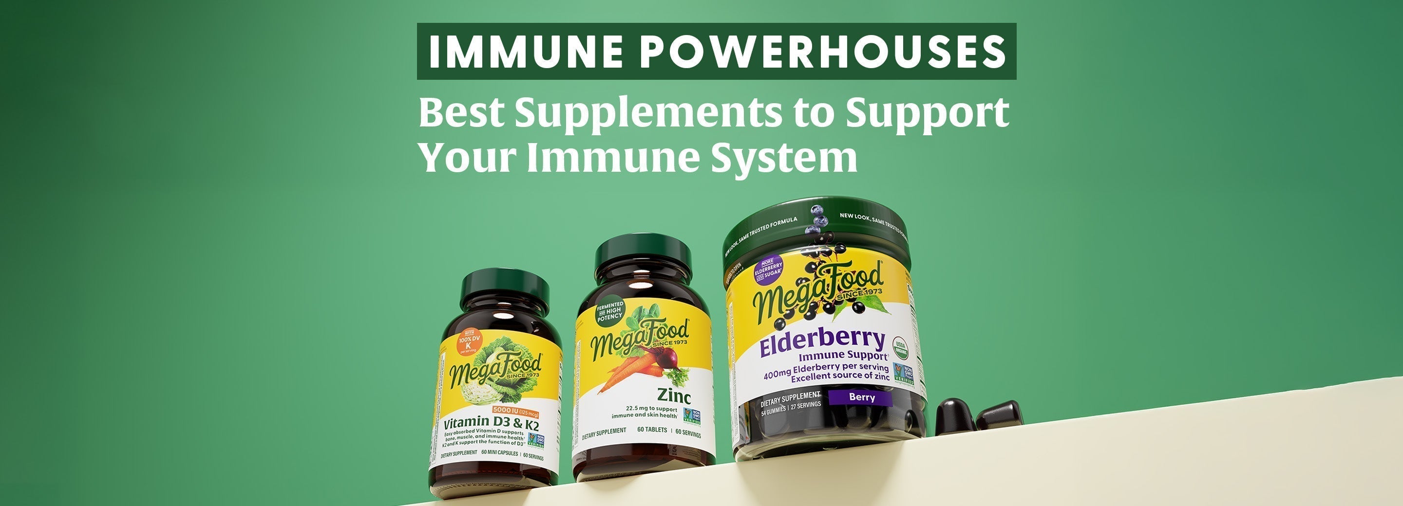 Immune Powerhouses: Our Best Supplements for Immune System Support