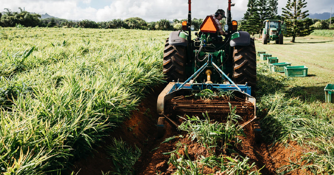 Proving regenerative agriculture yields nutrient-dense food