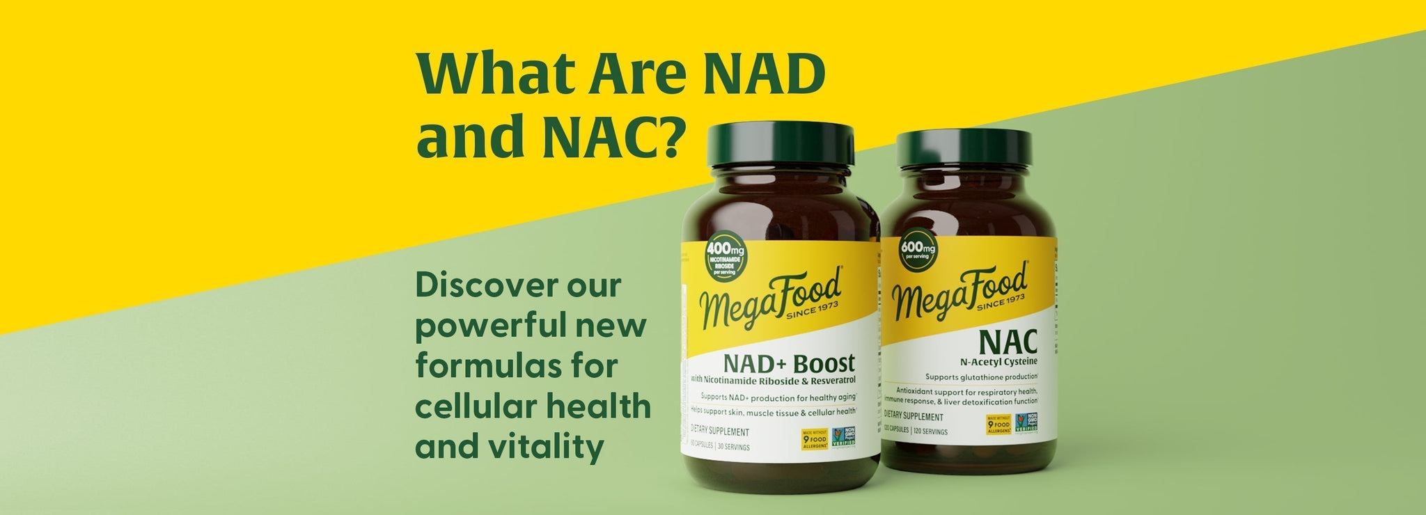 What Are NAD and NAC? | MegaFood What Are NAD and NAC? | MegaFood