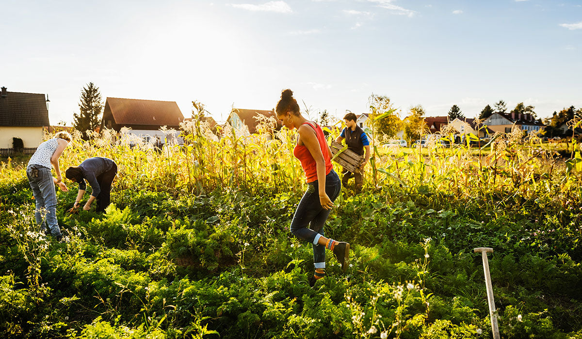 How we’ve partnered with the Women’s Earth Alliance around what matters: a healthy world