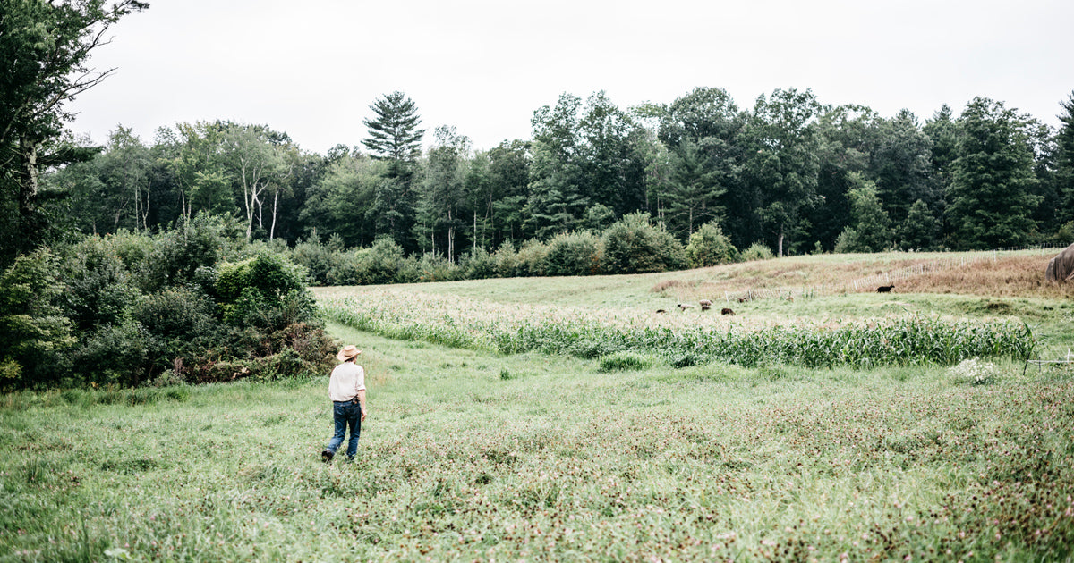 Back to our roots: how soil can save us