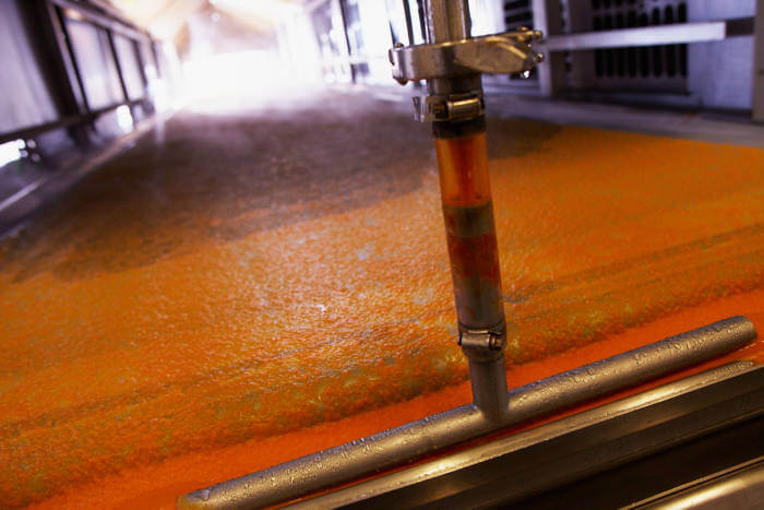 Fresh from Farm to Tablet: MegaFood's Dryer Technology