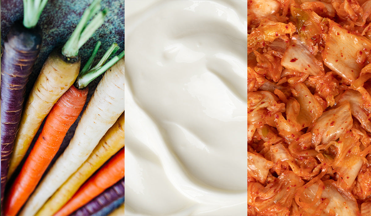 Prebiotics, Probiotics, and Postbiotics: What’s the Difference?
