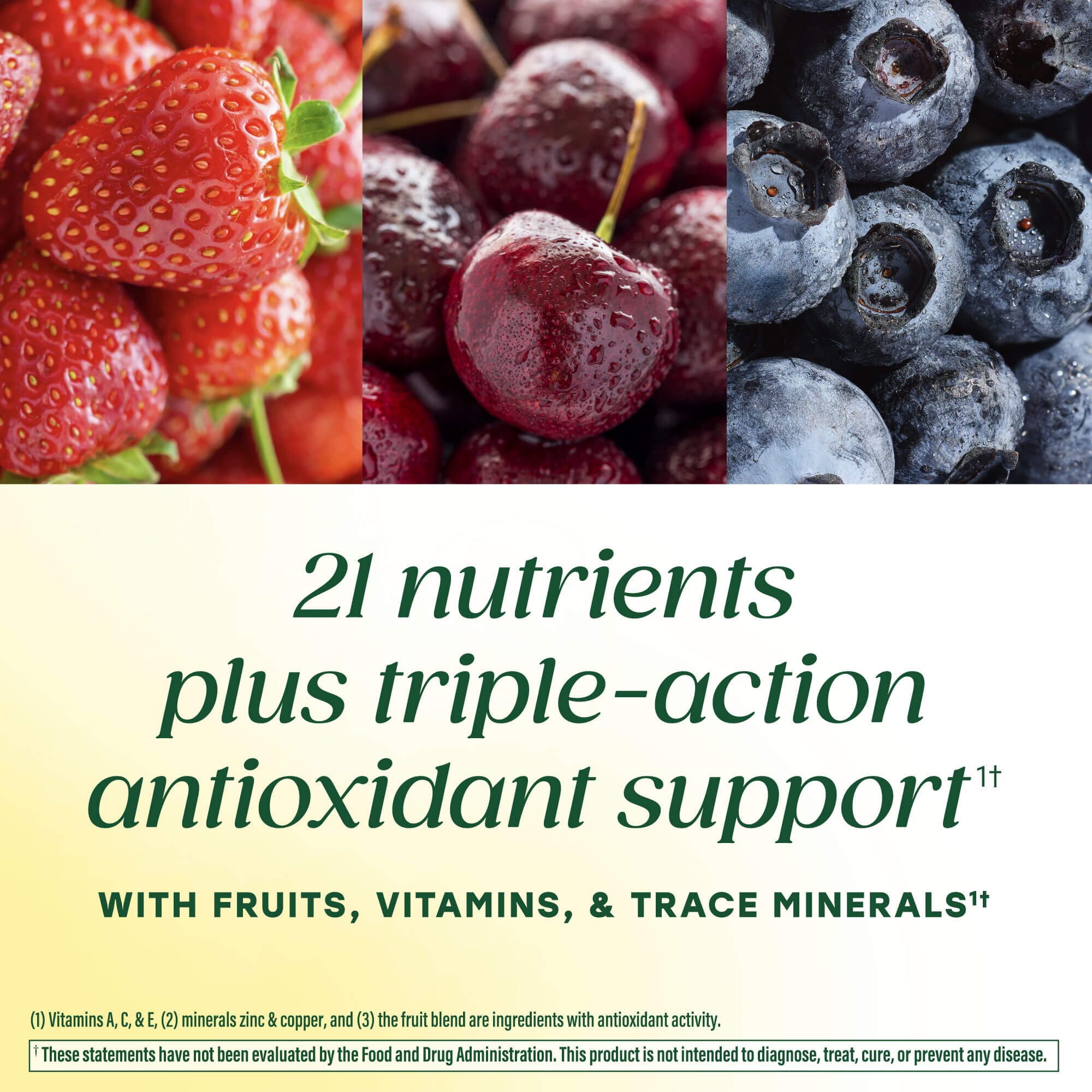 21 Nutrients Plus Antioxidant Support