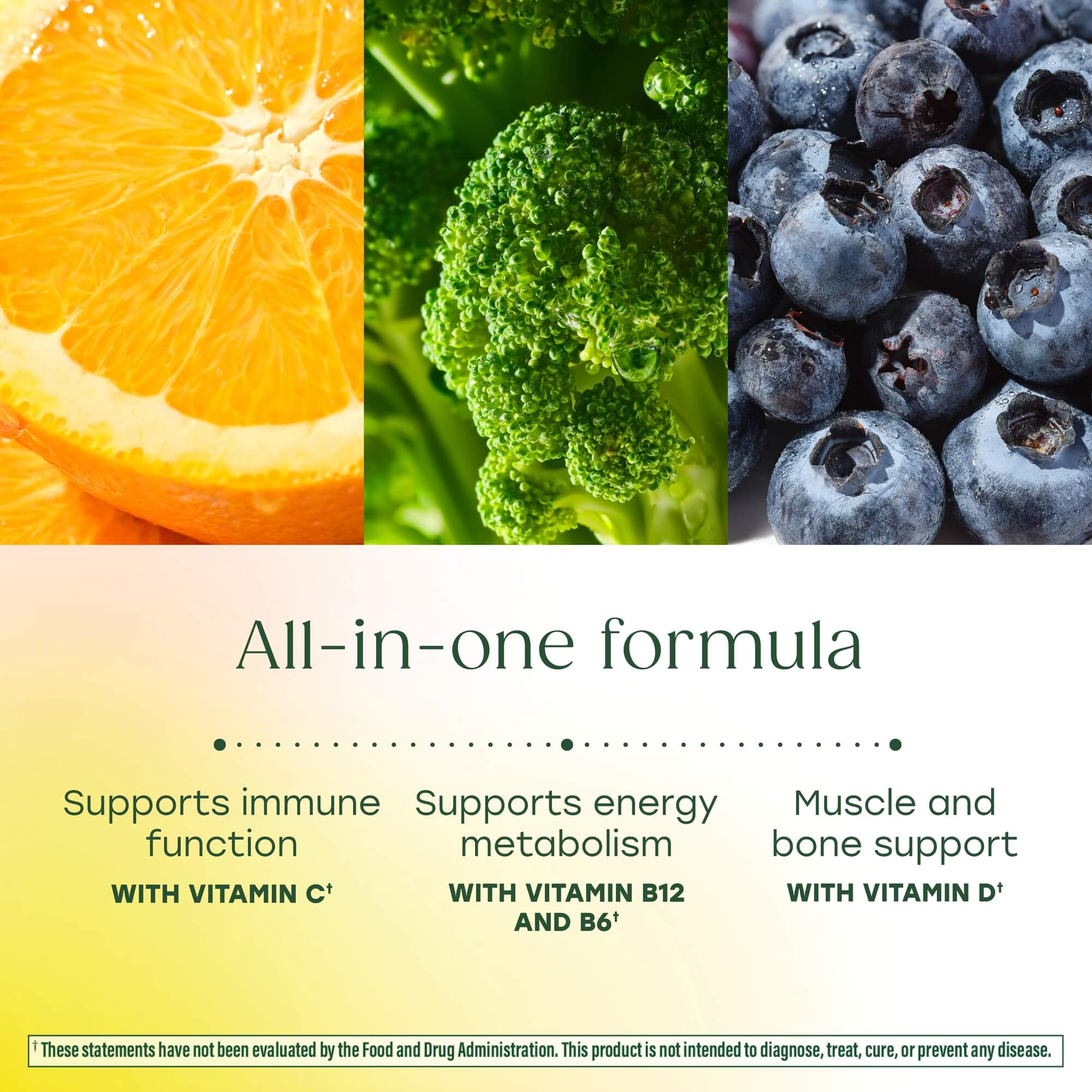 Men's One Daily All in one formula