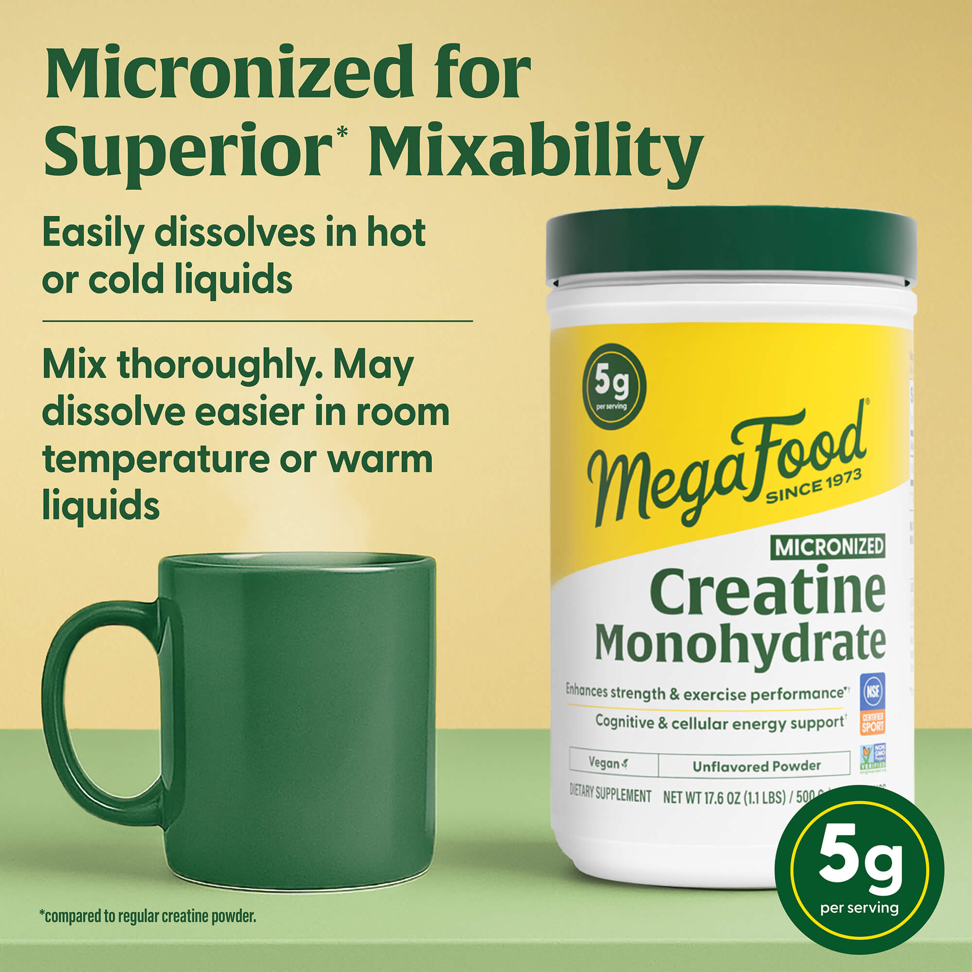 Micronized Creatine Monohydrate Powder