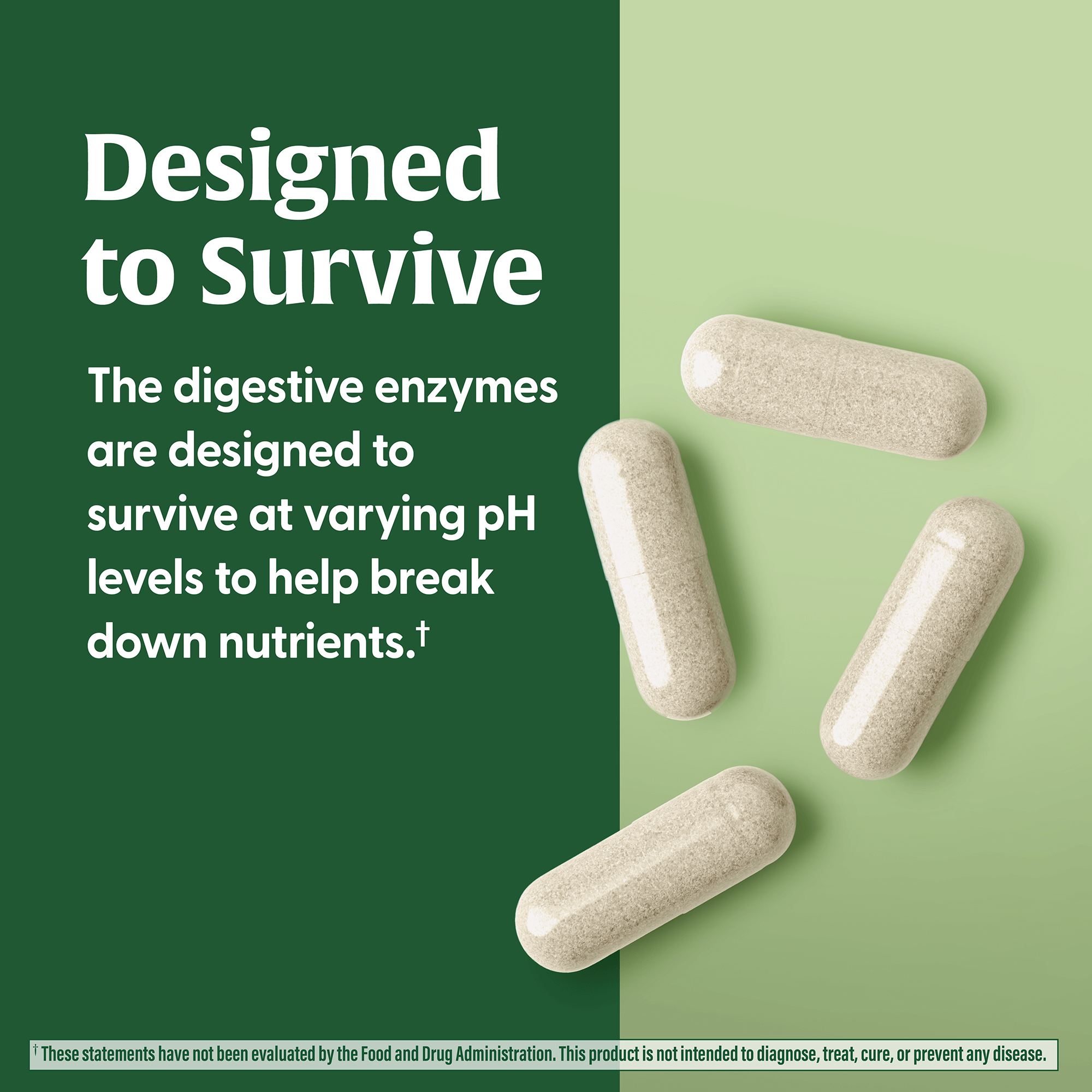 Dual-Action Digestive Enzymes
