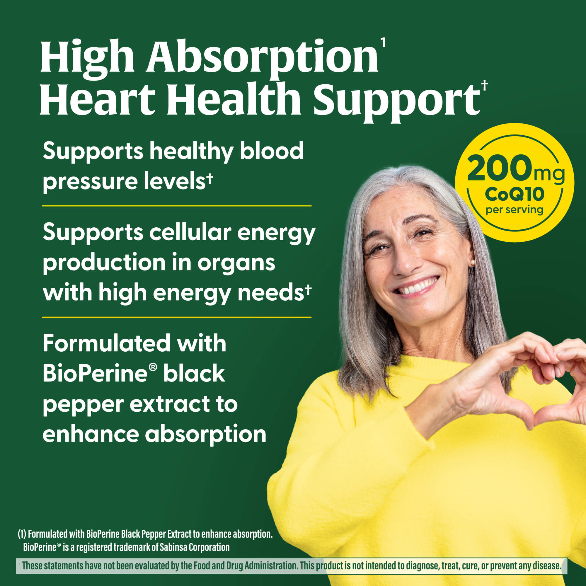 High Absorption CoQ10