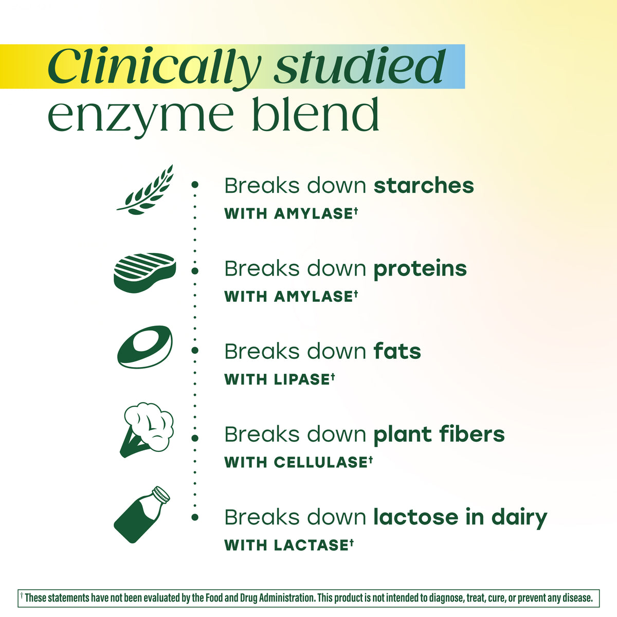 Dual-Action Digestive Enzymes