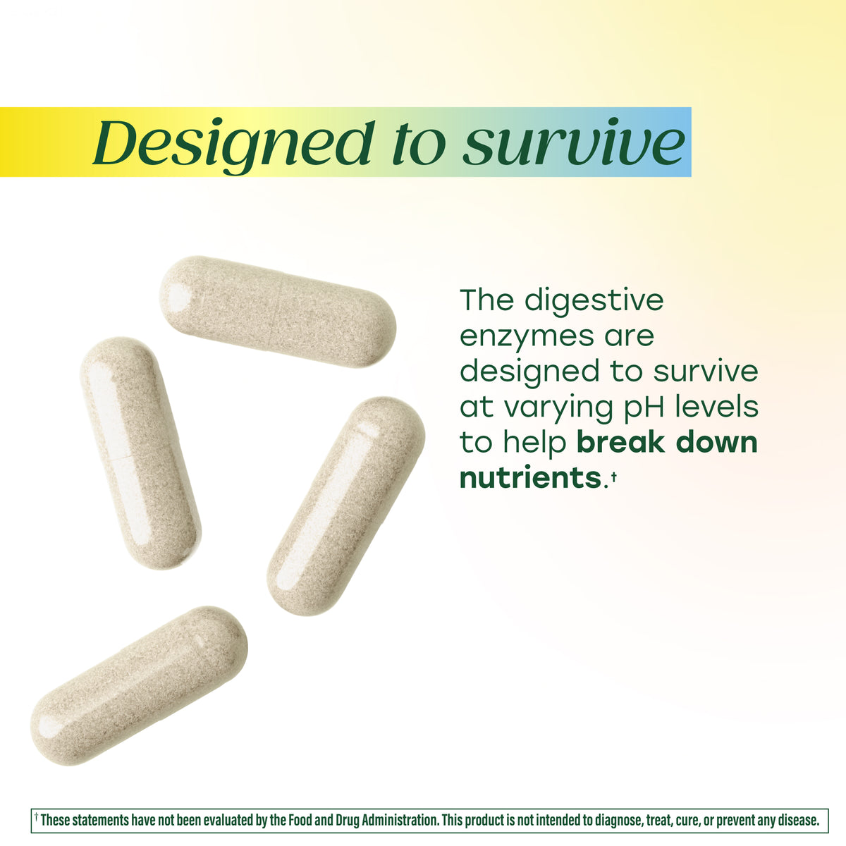 Dual-Action Digestive Enzymes