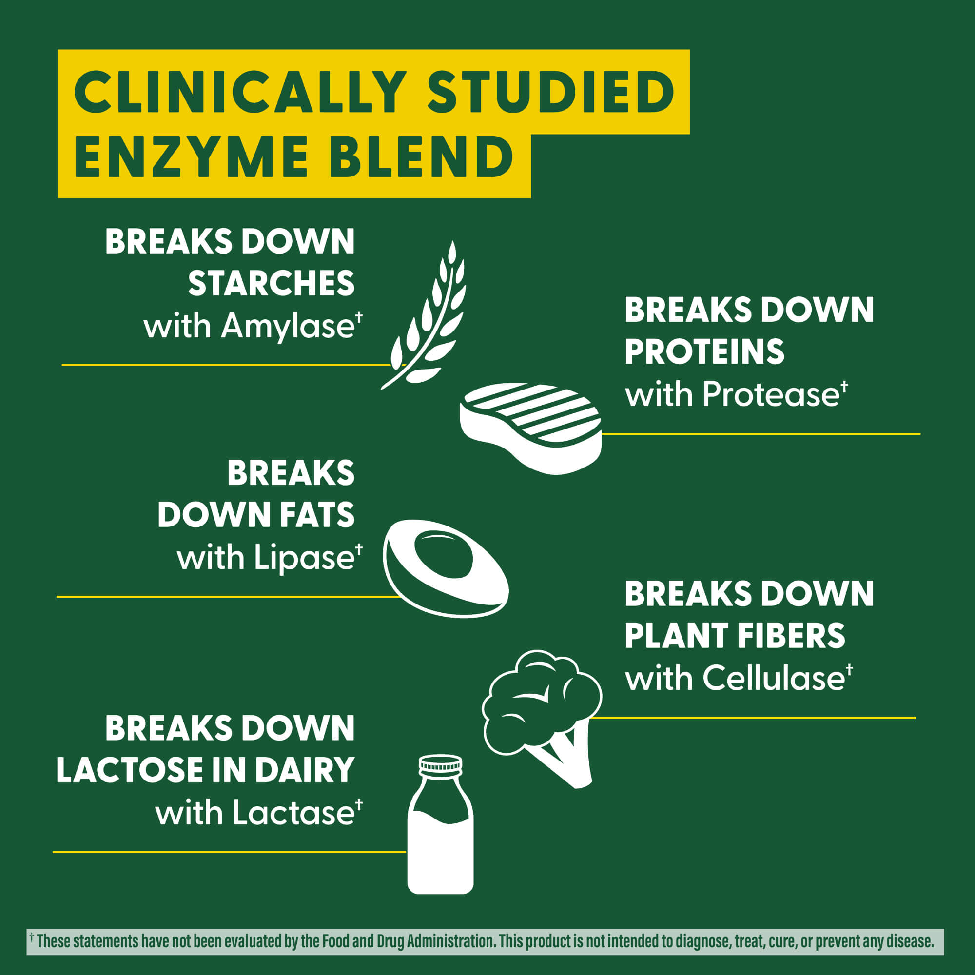 Dual-Action Digestive Enzymes