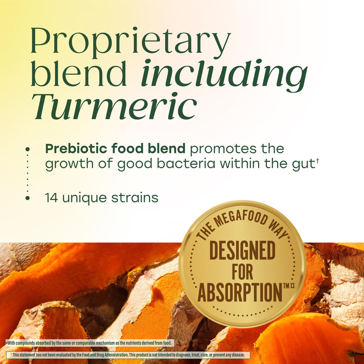 MegaFlora® Probiotic + Prebiotic with Turmeric