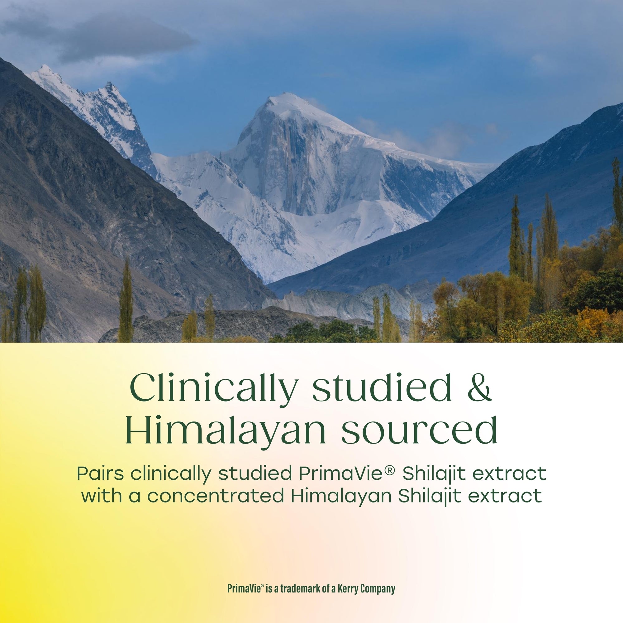 Shilajit