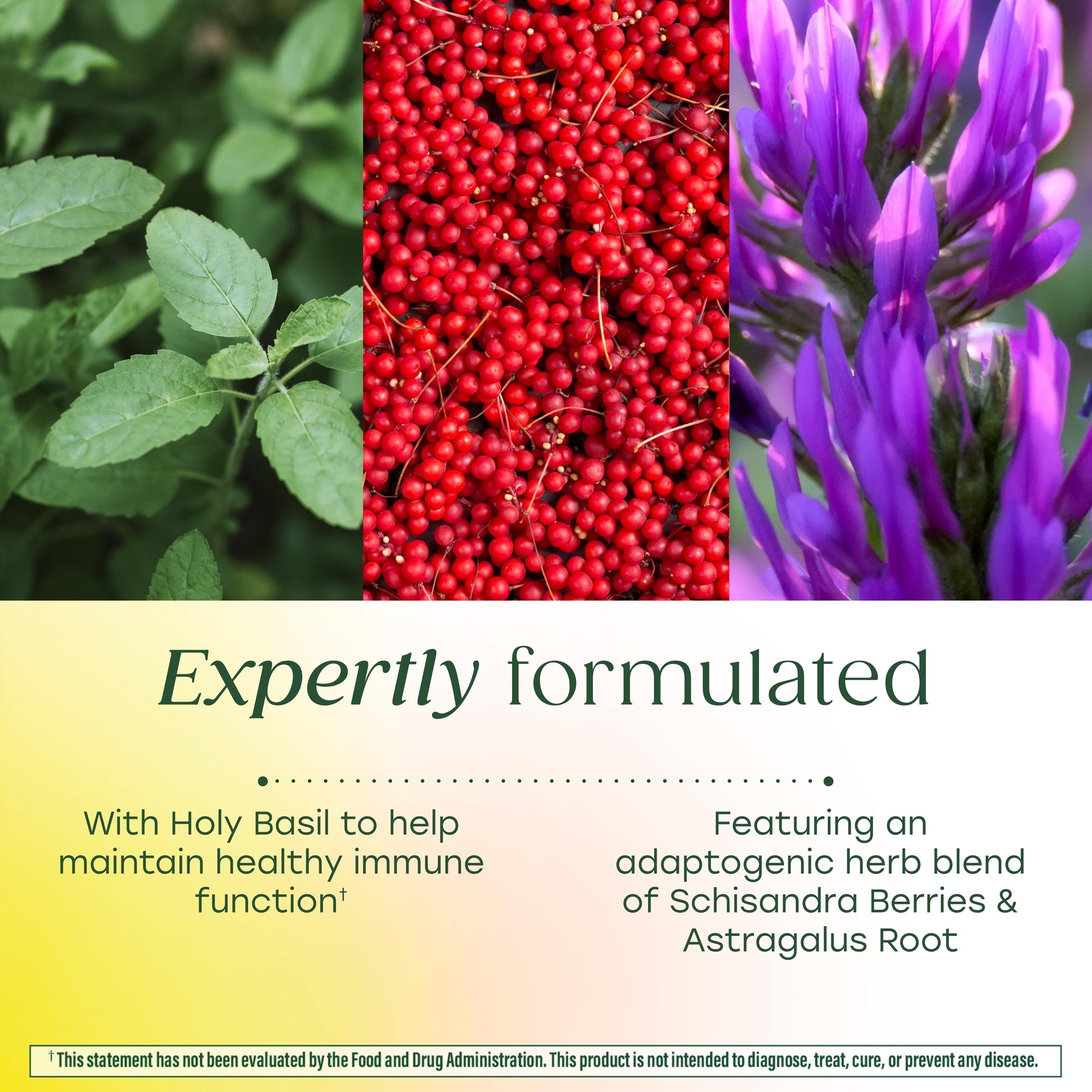 Ashwagandha Complex