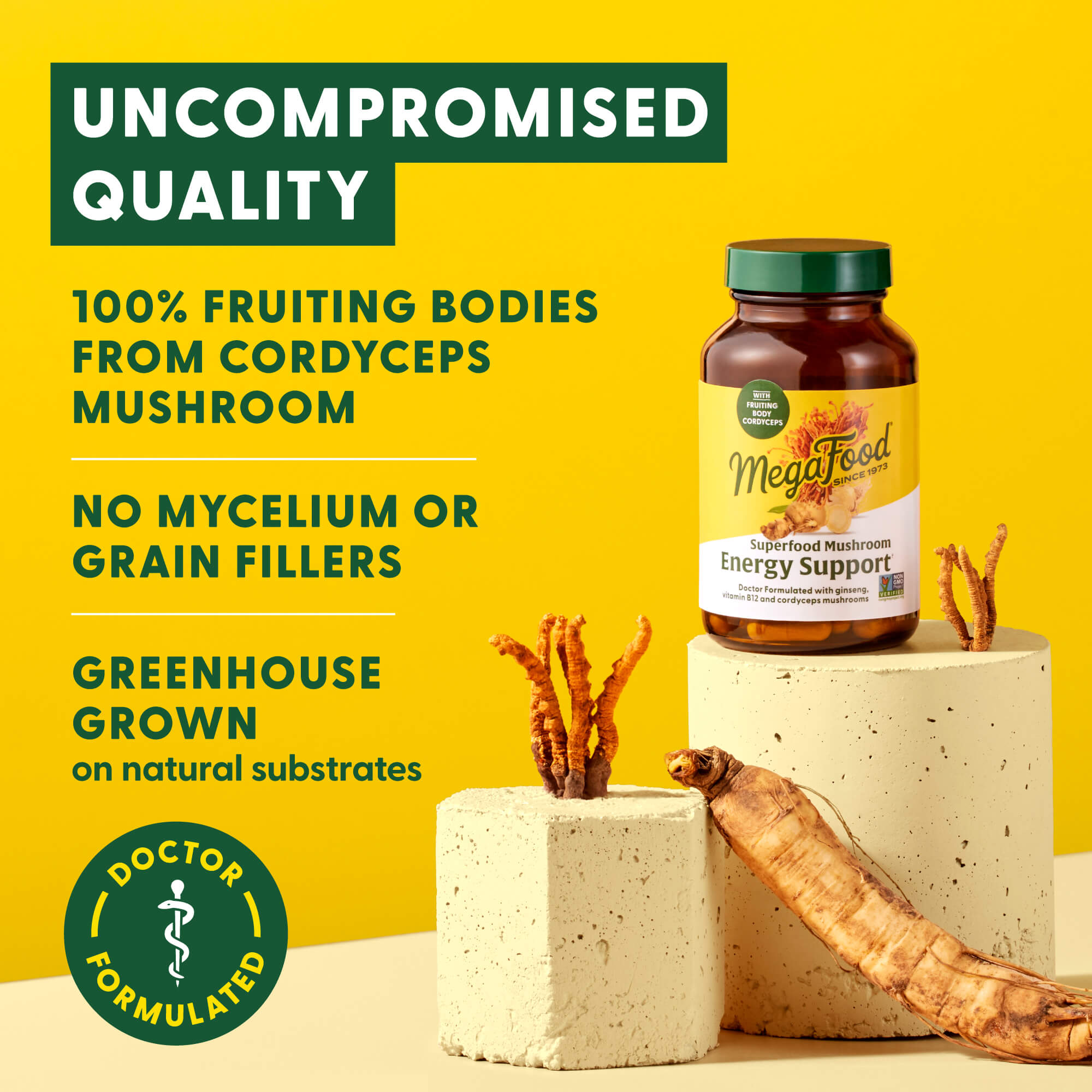 Superfood Mushroom Energy Support†