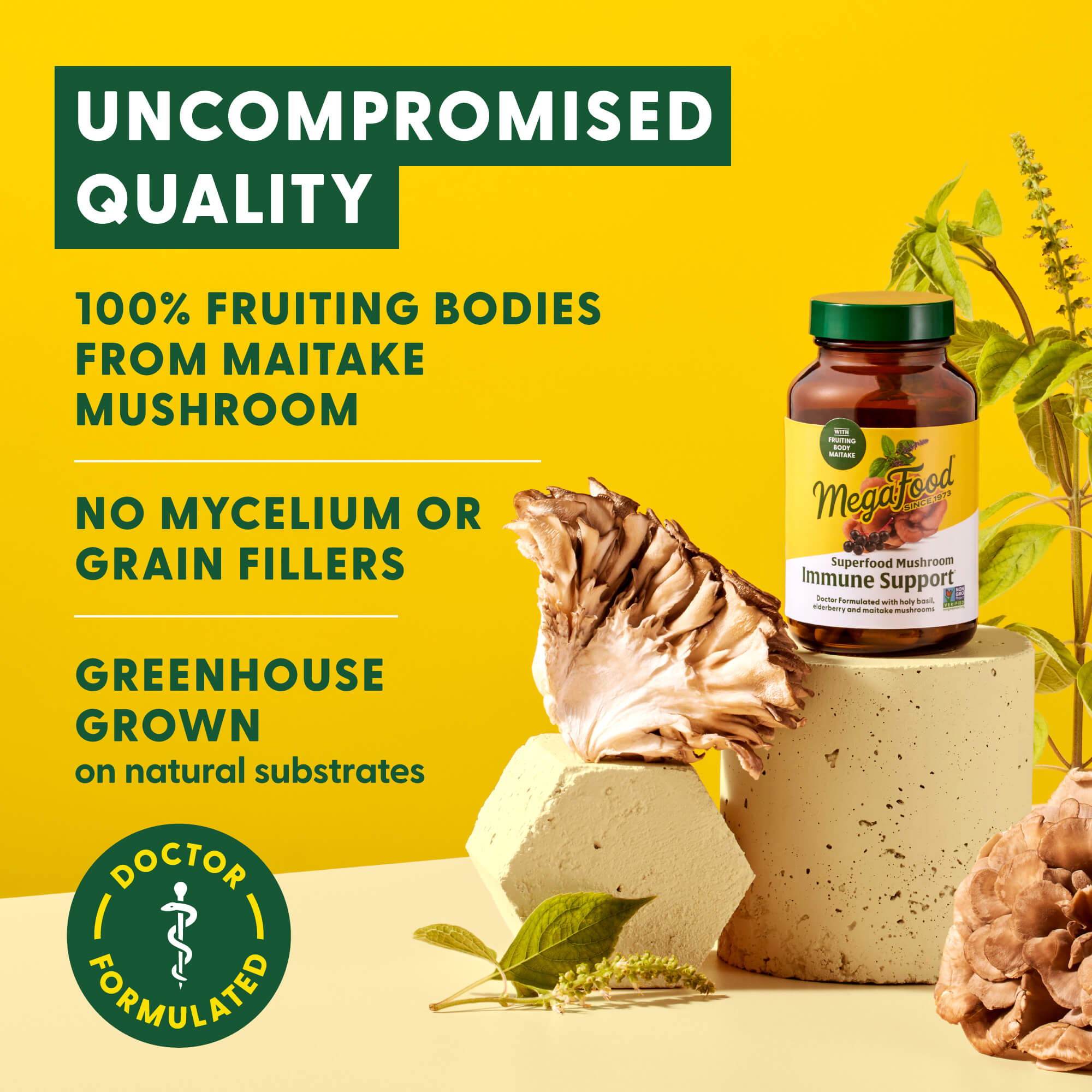 Superfood Mushroom Immune Support†