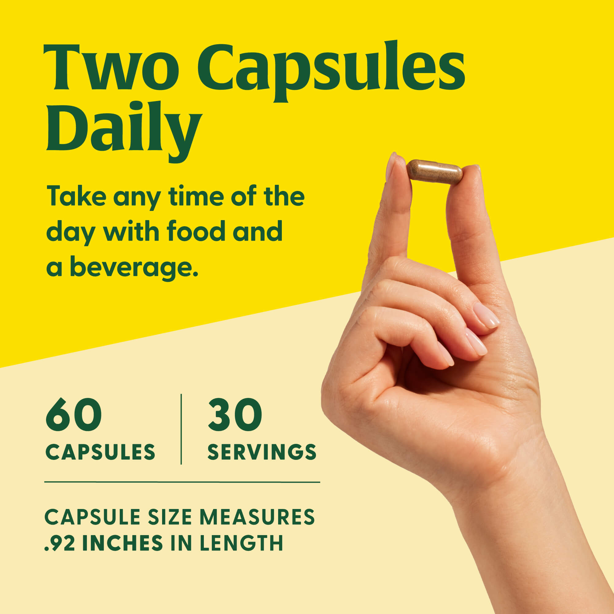 Superfood Mushroom Immune Support†