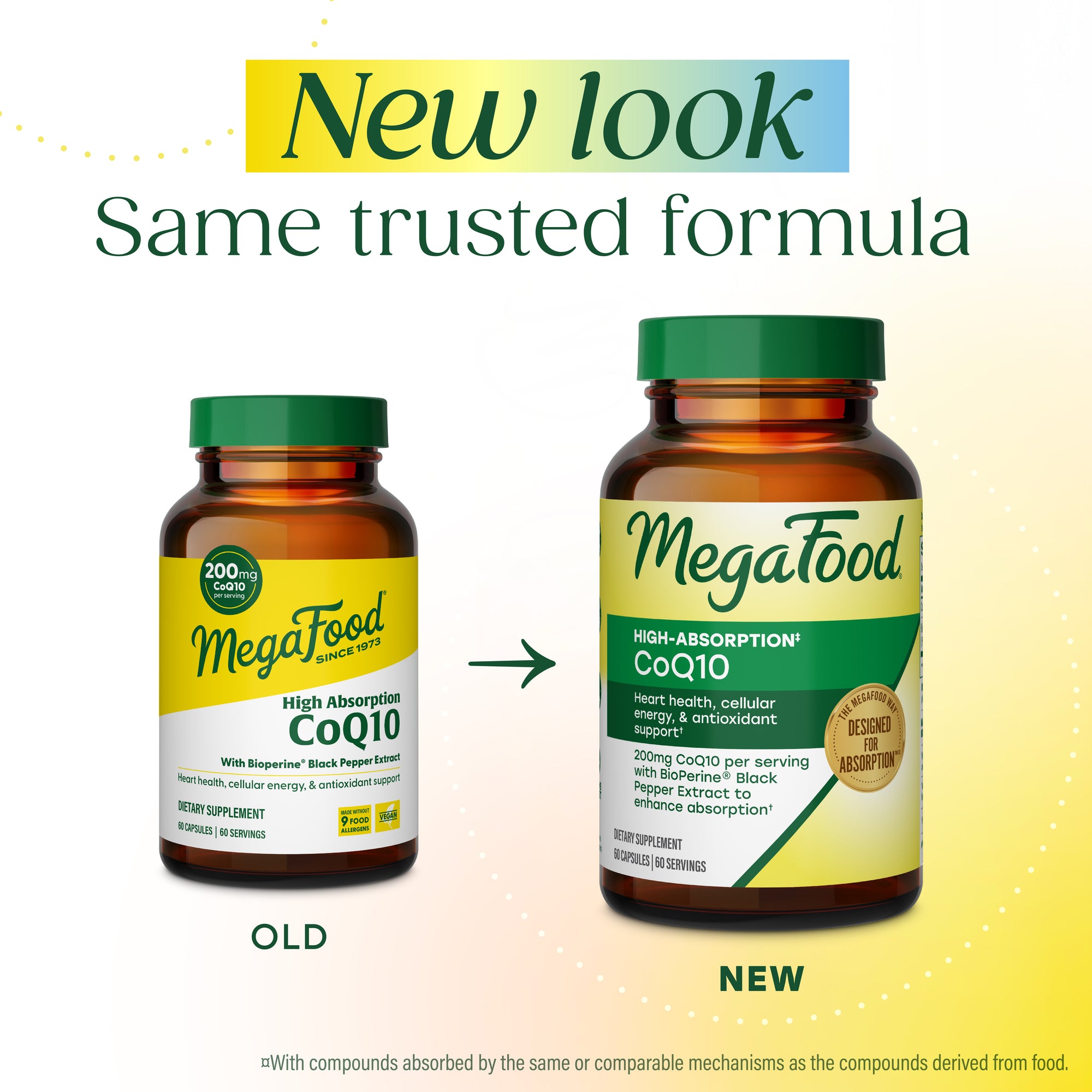 High Absorption CoQ10