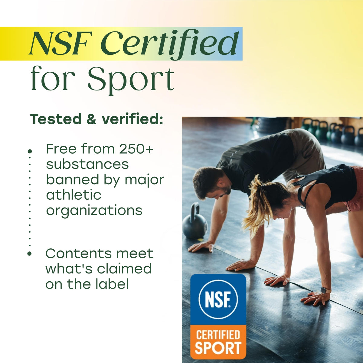 Micronized Creatine Monohydrate Powder