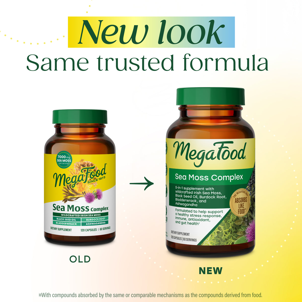 Sea Moss Complex