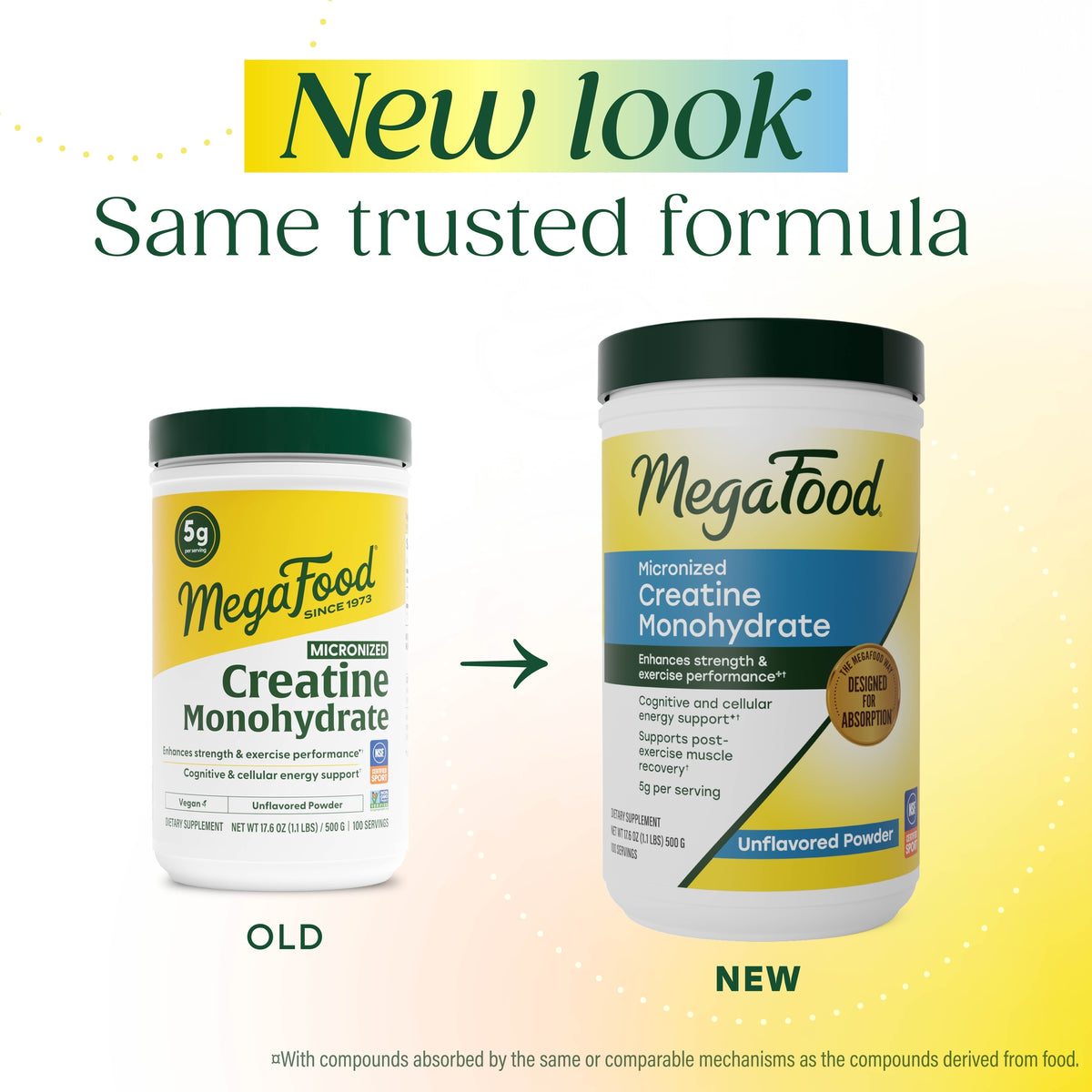 Micronized Creatine Monohydrate Powder