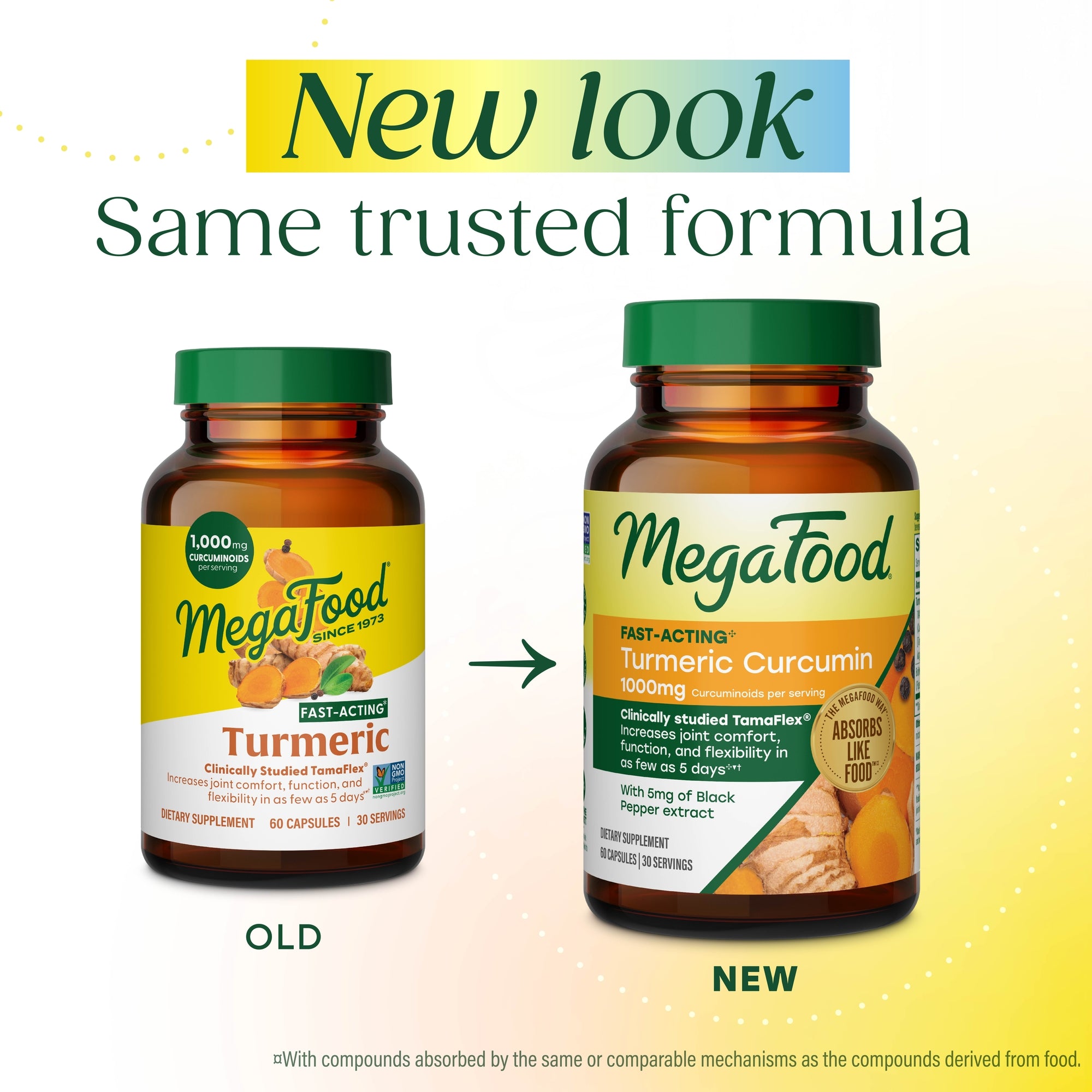 Fast Acting Turmeric