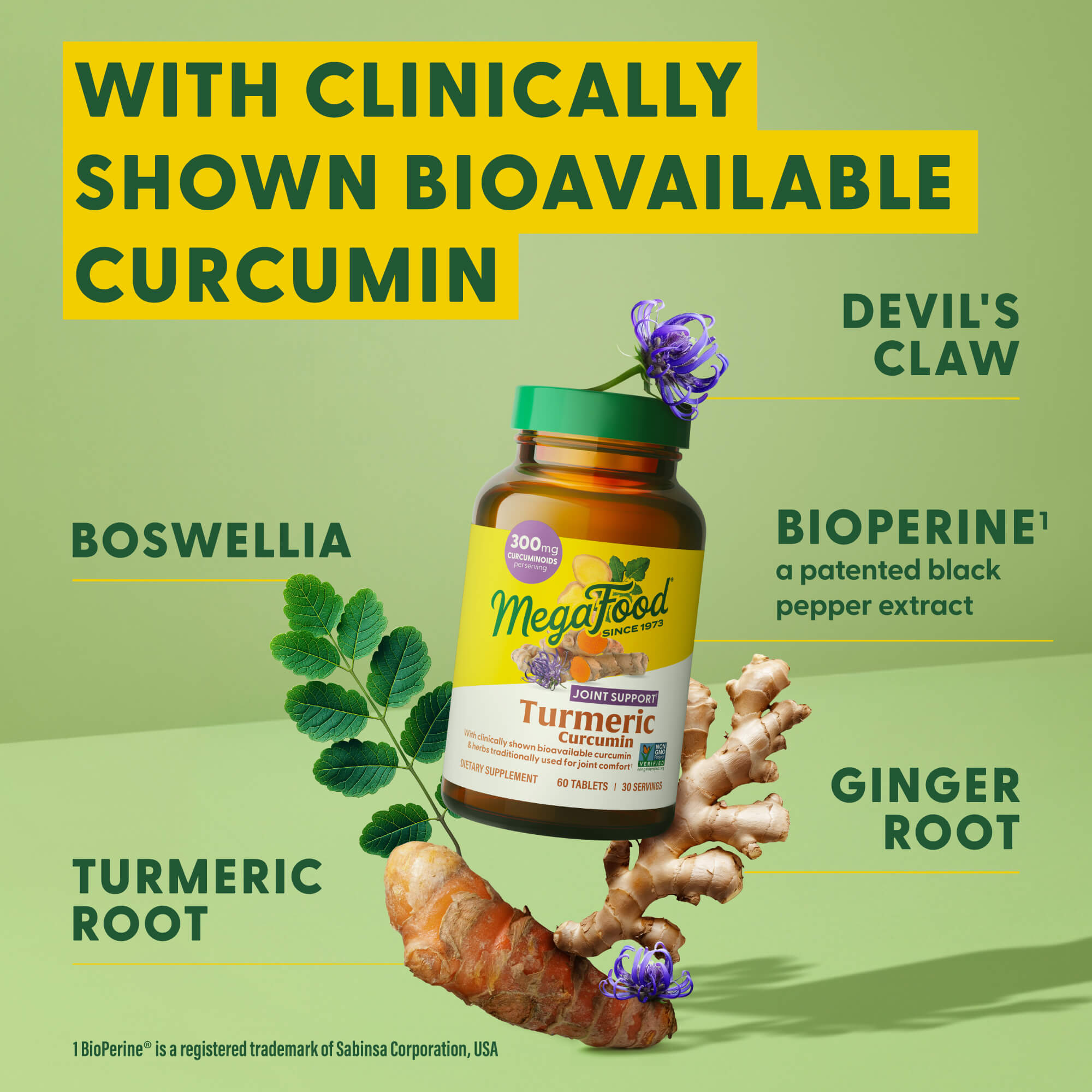 Turmeric Curcumin Extra Strength, Joint