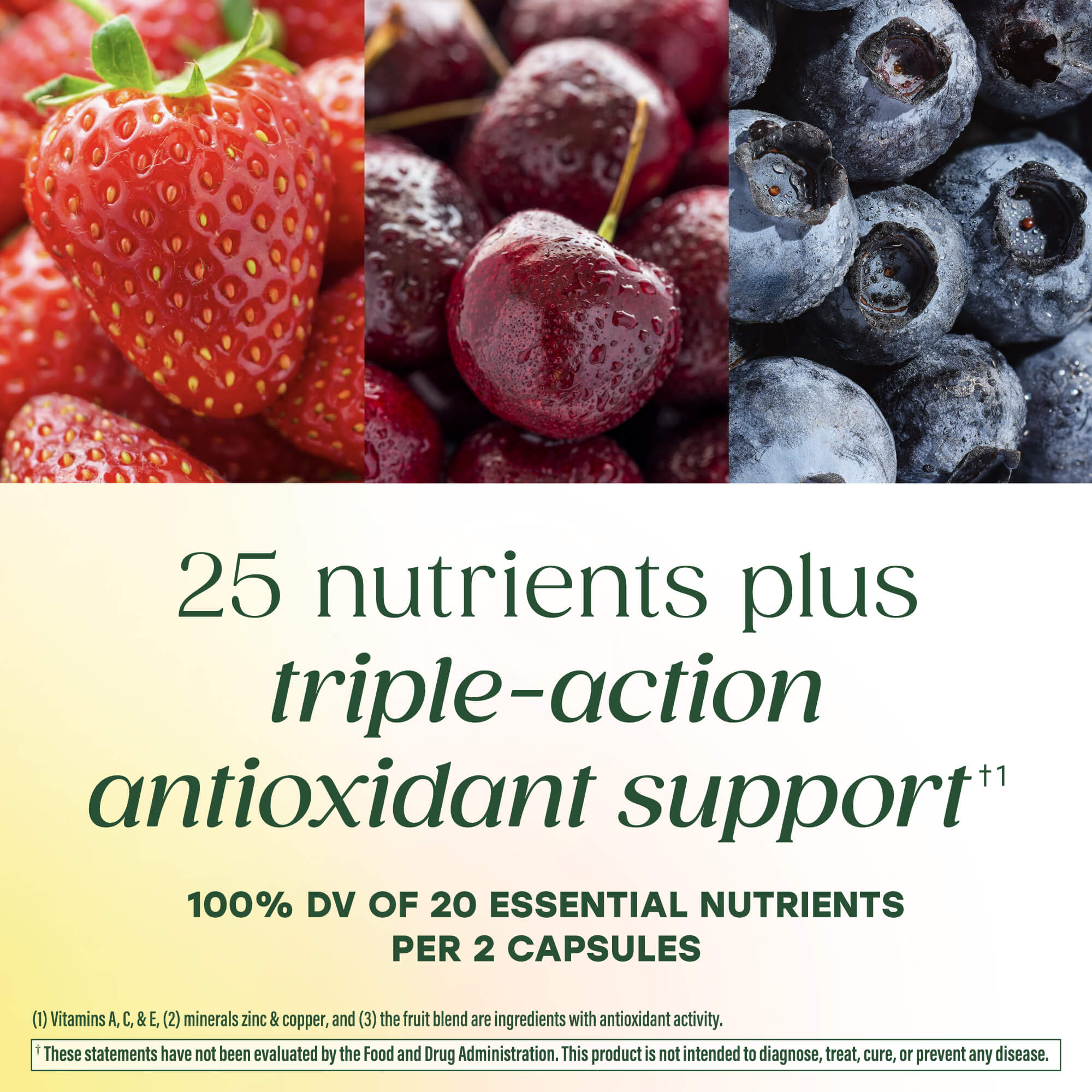 25 nutrients plus triple-action antioxidant support