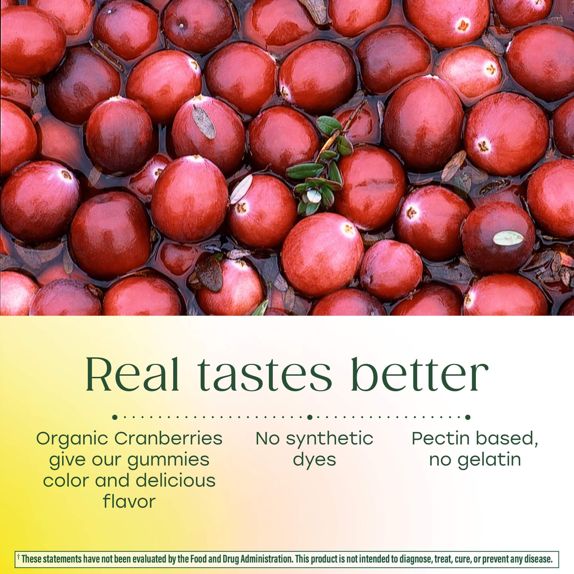 B12 Energy Gummies (Cranberry)