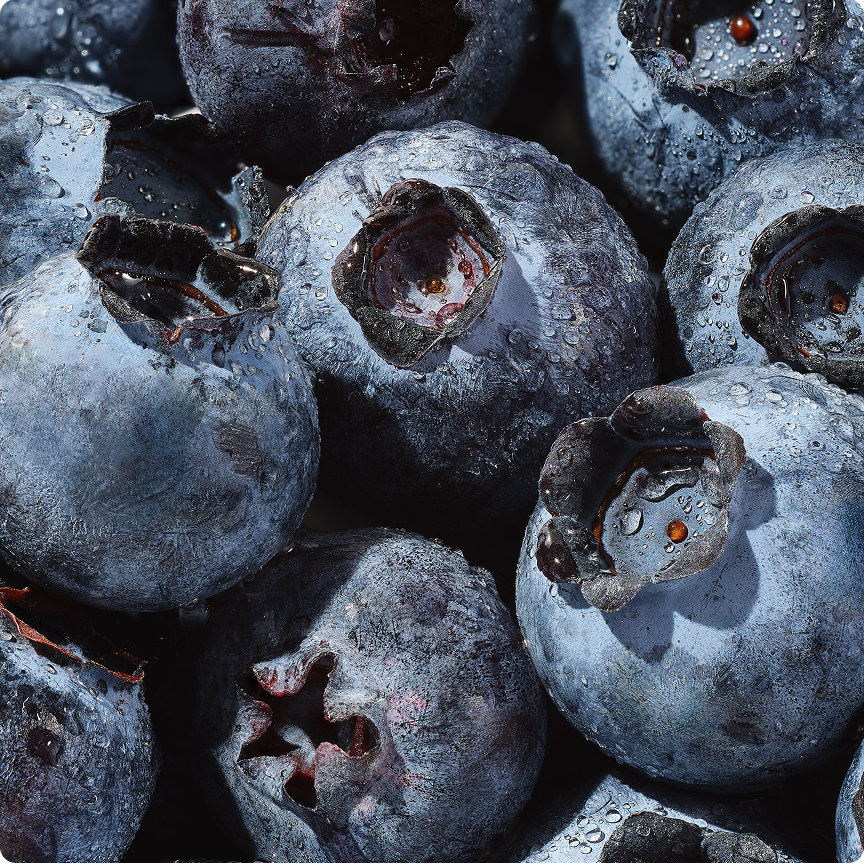 #flavor_blackberry hibiscus oasis