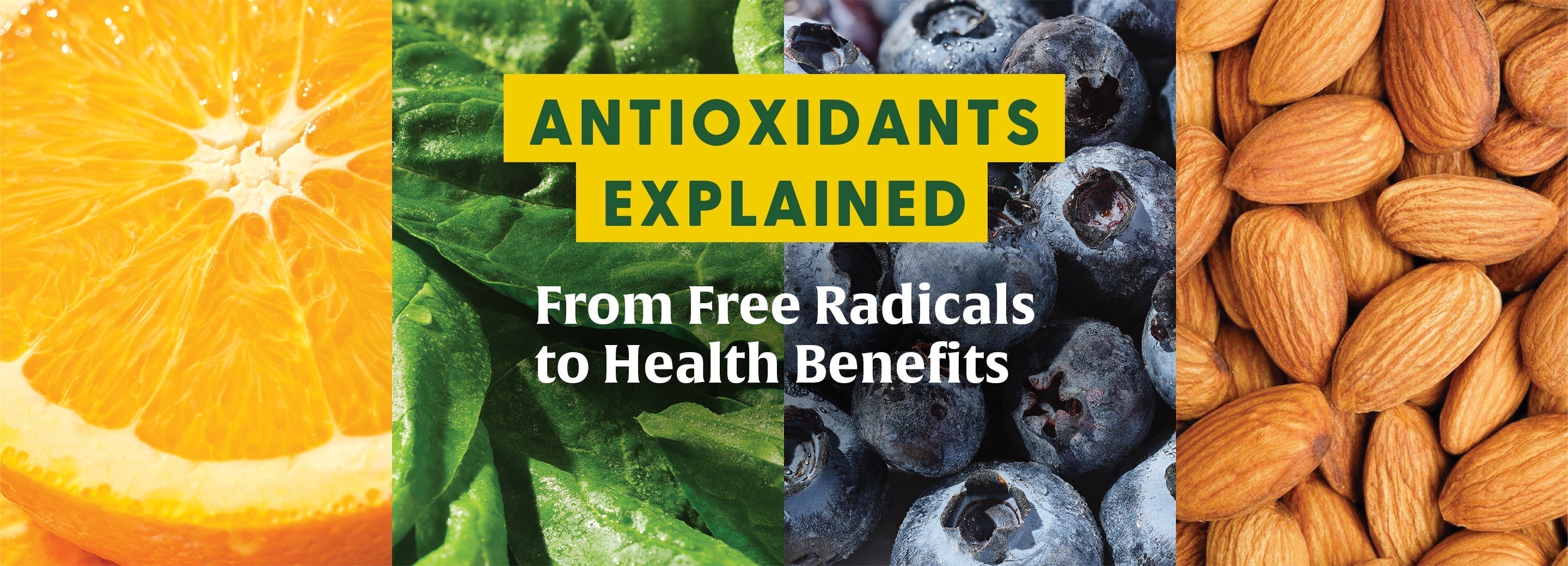 Antioxidants Explained
