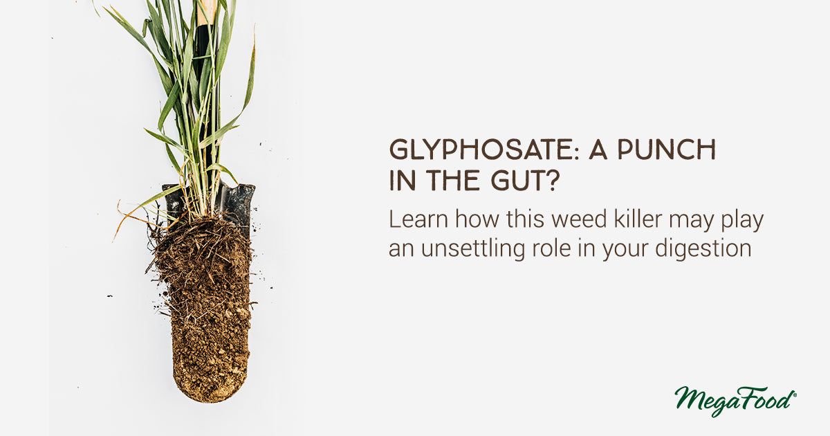 Glyphosate: A destroyer of gut health?