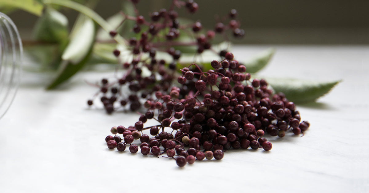 Elderberry: Year-round immune support for the whole family*