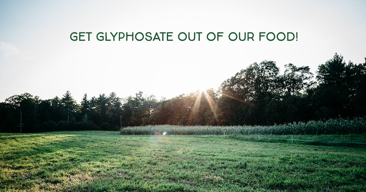 MegaFood is certified glyphosate residue free. But, what about your food?