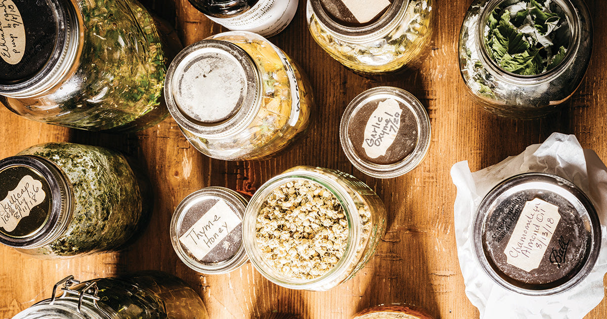 WHAT IS AN HERBALIST?