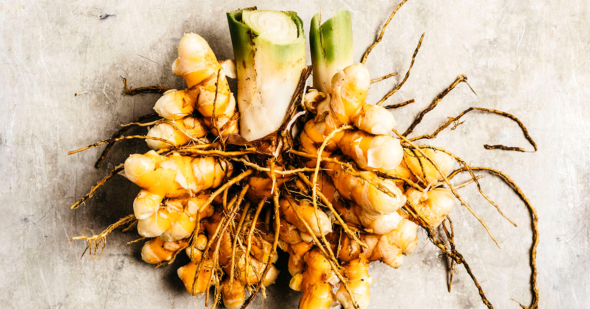 The power of turmeric: What this ancient root can do for you