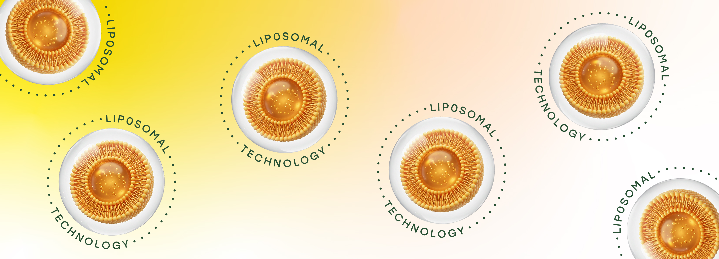 Liposomal Technology: How Does it Work & Why Does It Matter?