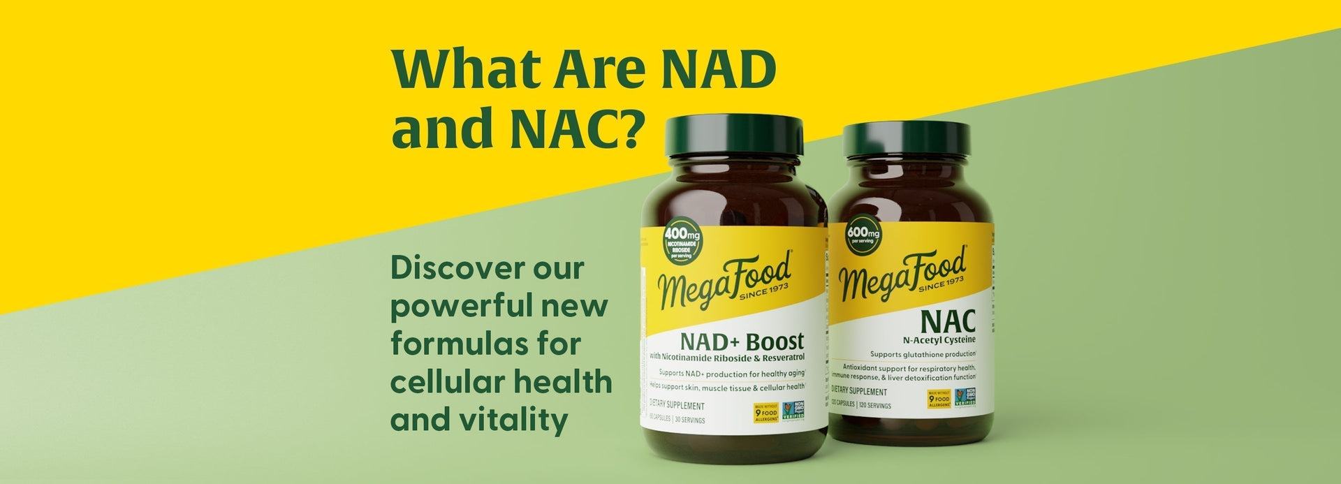 What Are NAD and NAC? | MegaFood What Are NAD and NAC? | MegaFood