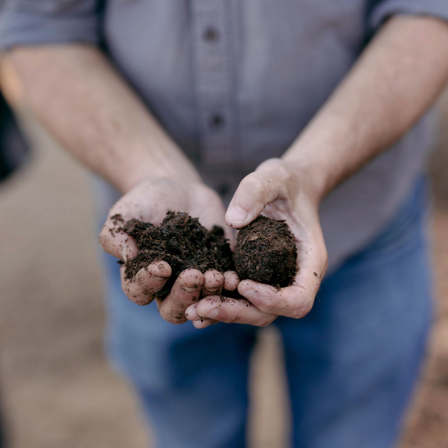 Back to our Roots: How Soil can Save Us