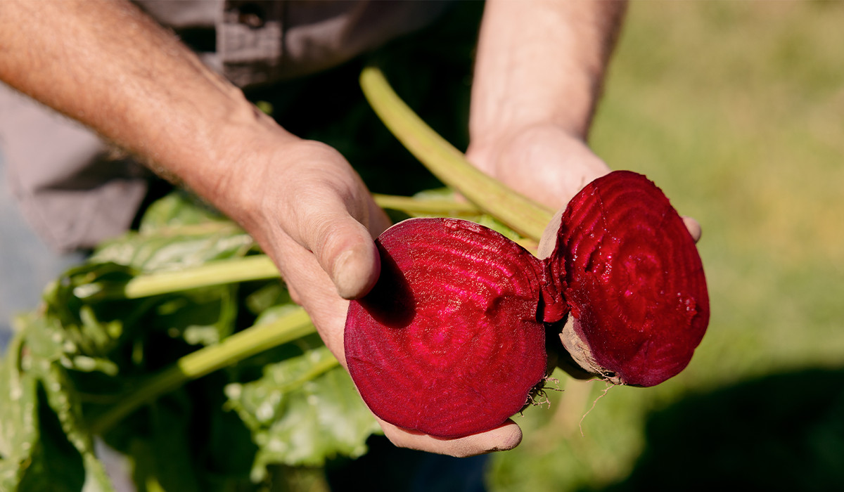 What’s Behind the Bottle: A Guided Tour