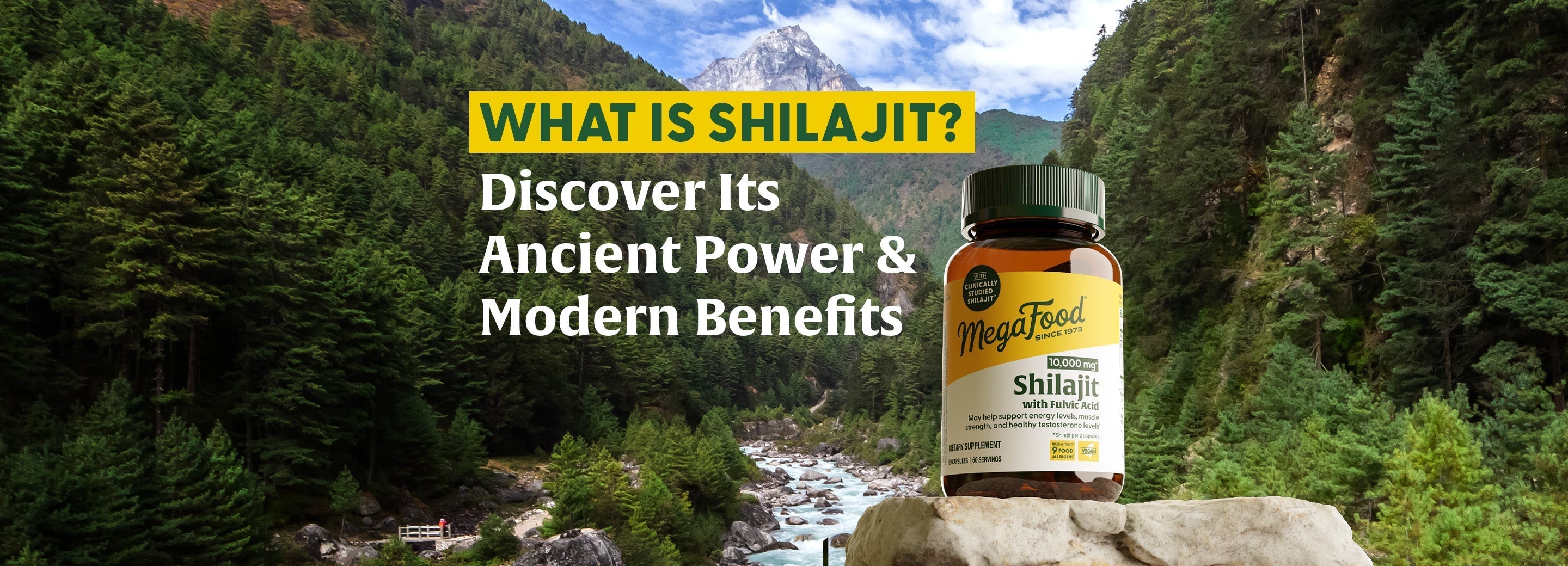 What is Shilajit? Discover Its Ancient Power and Modern Benefits