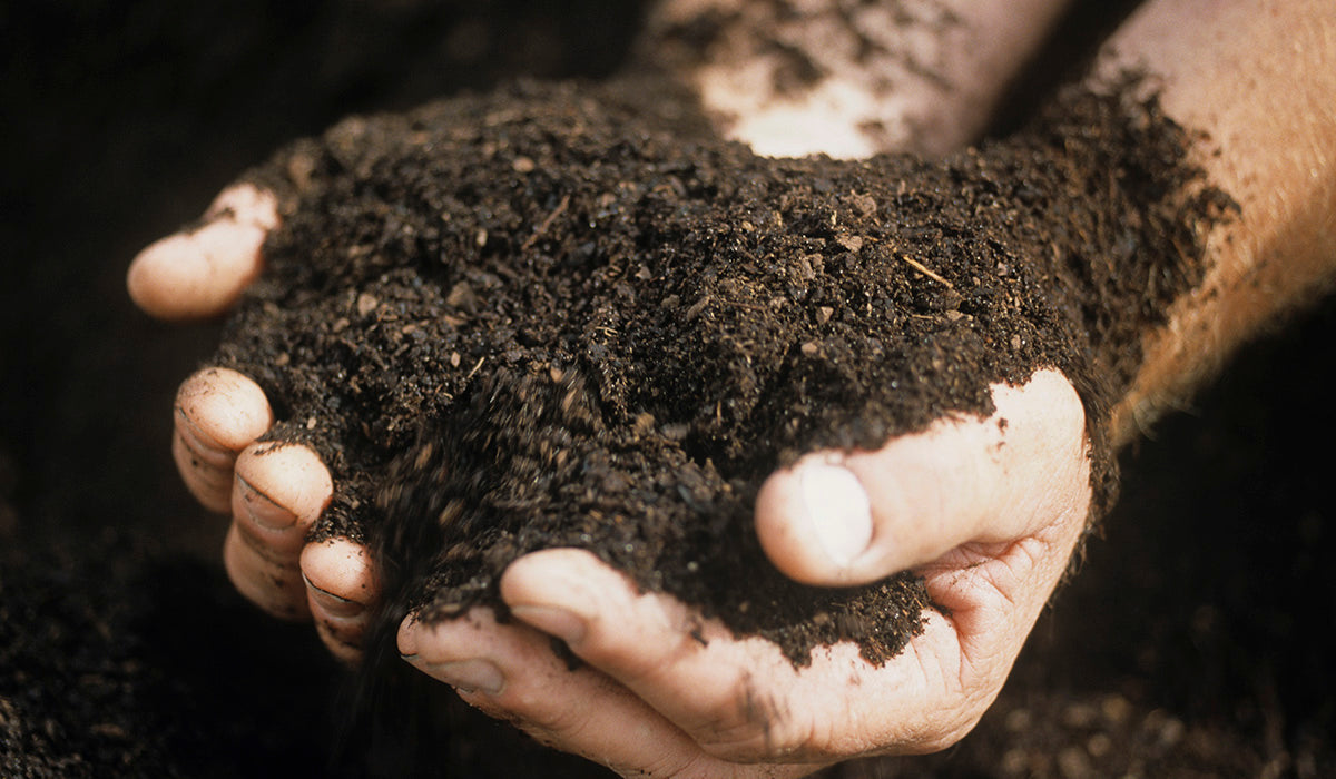 How Soil Health is Climate Health