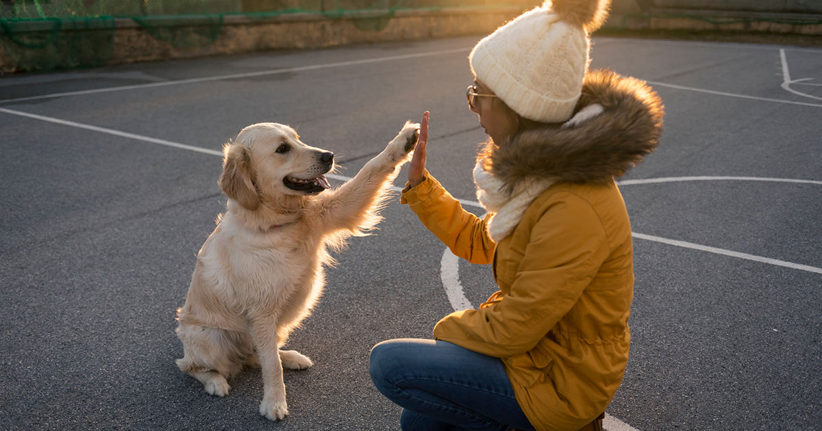 3 Non-GMO gummies for immune support!*