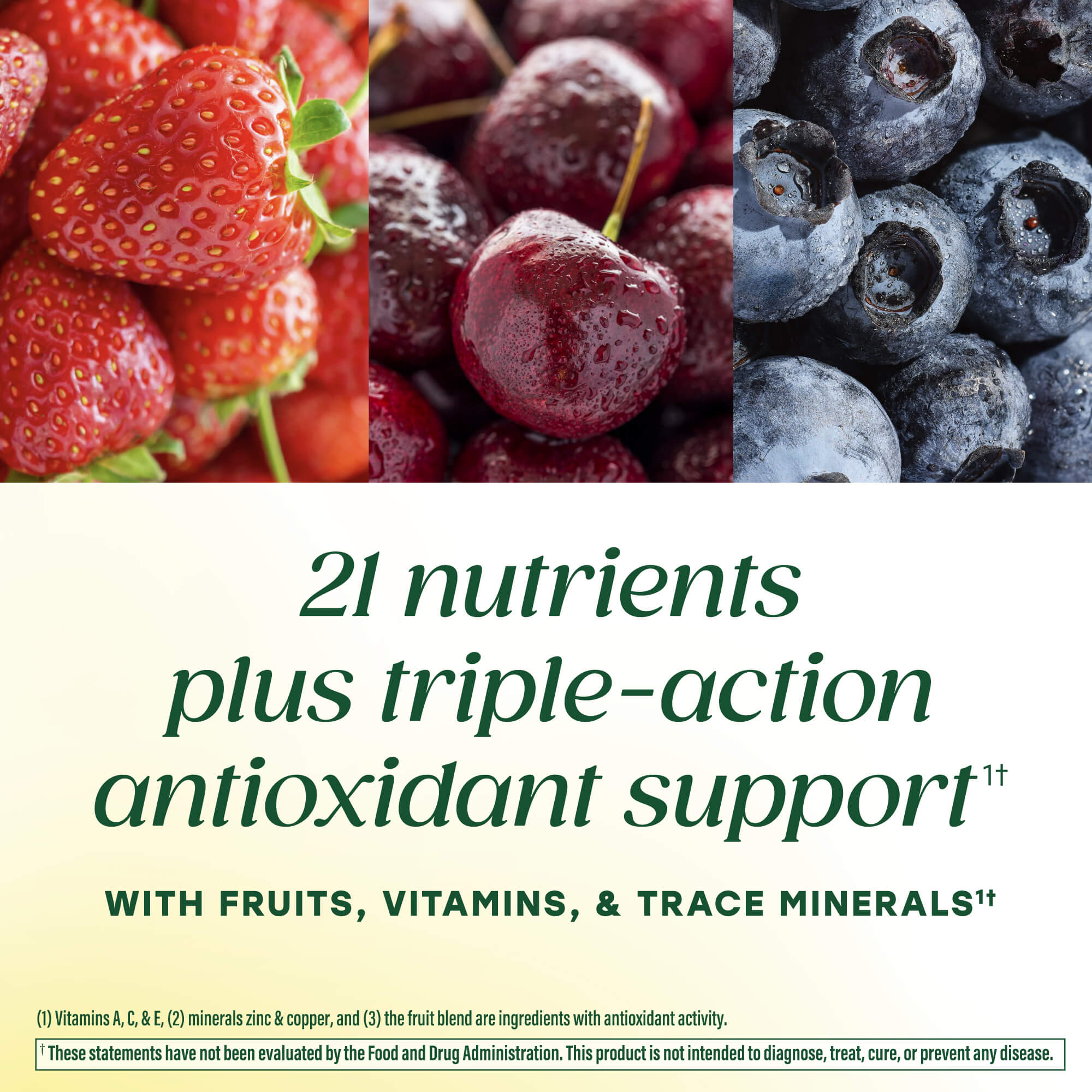 Men's 55+ Whole Body Multi Gummies