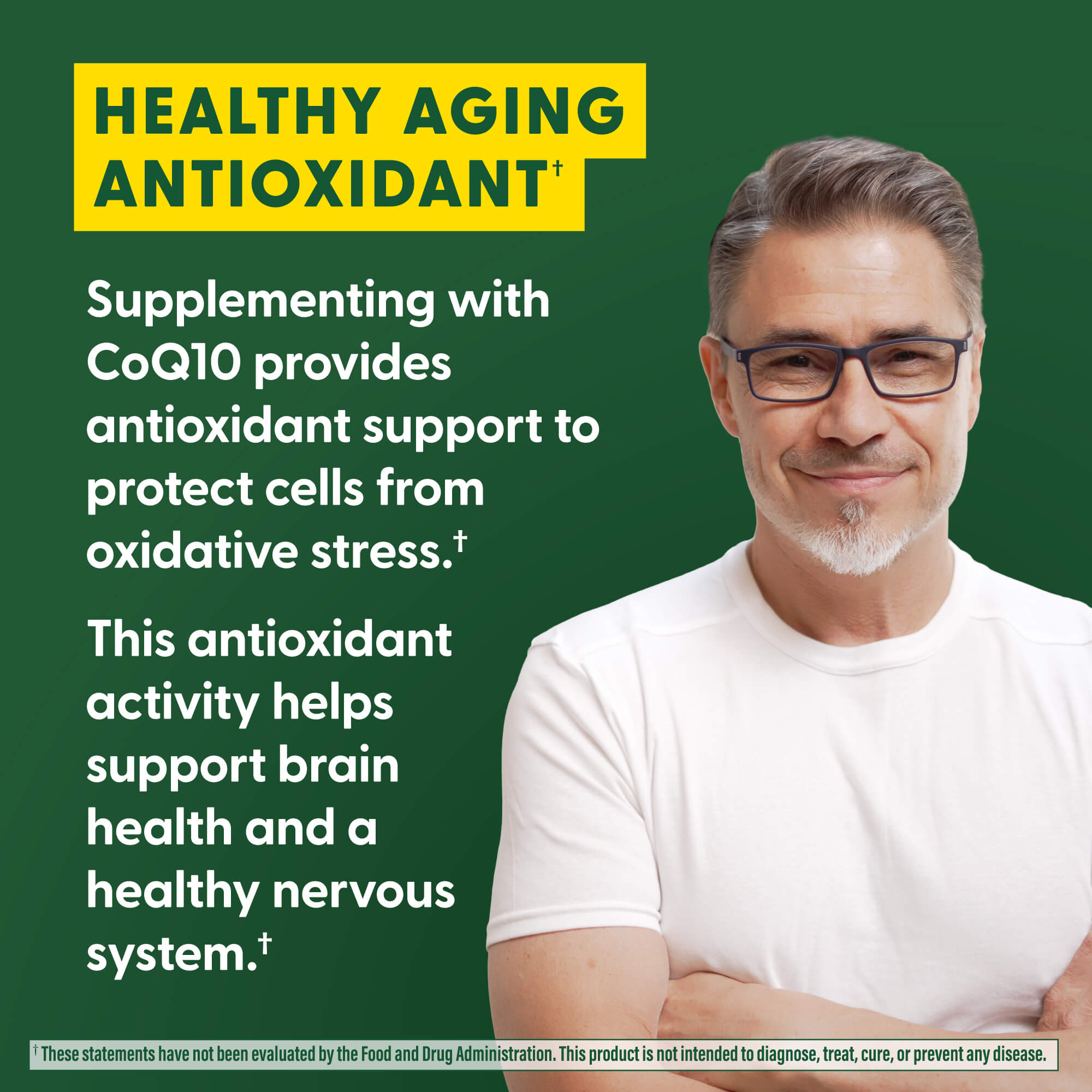 High Absorption CoQ10